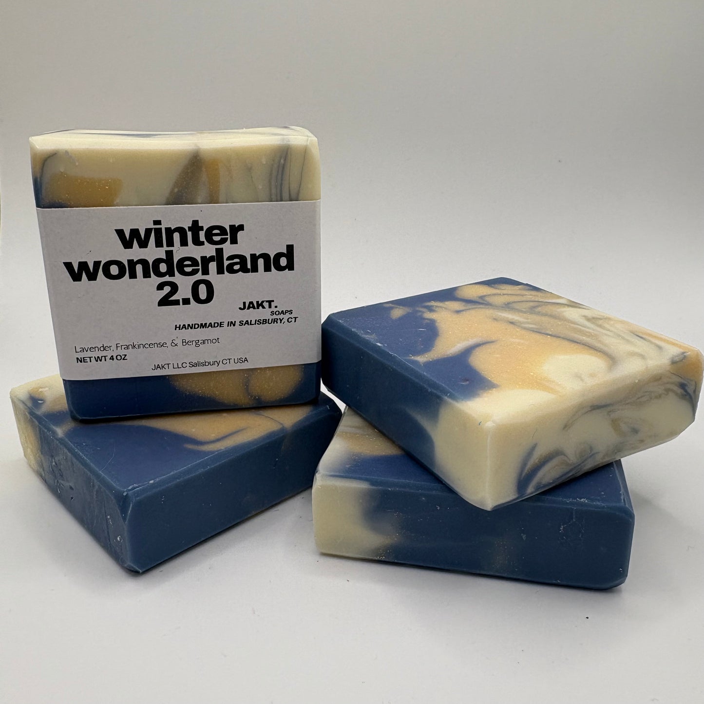 Winter Wonderland 2.0