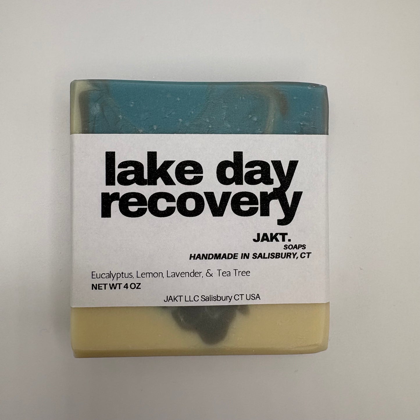 Lake Day Recovery