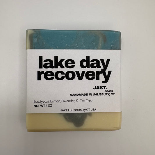 Lake Day Recovery